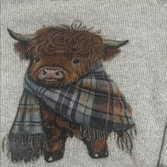Gray Sweater with Highland Cow Design - Picture 3 of 4